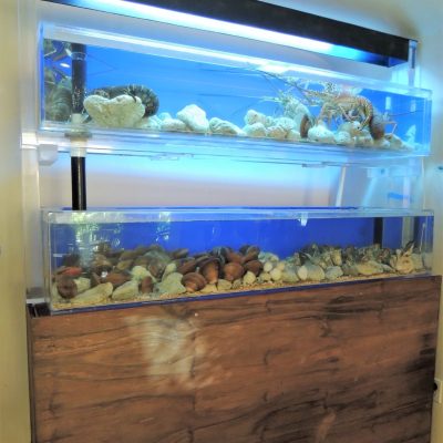 peceras de acrilico